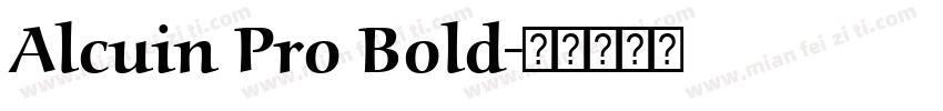 Alcuin Pro Bold字体转换